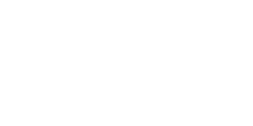 Wettigo Casino Logo