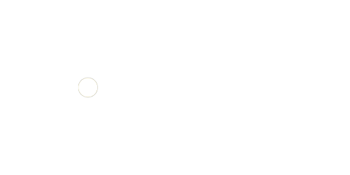Fortuna Casino Logo