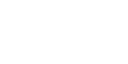 Stake Casino BR Logo