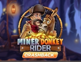 Miner Donkey Ride