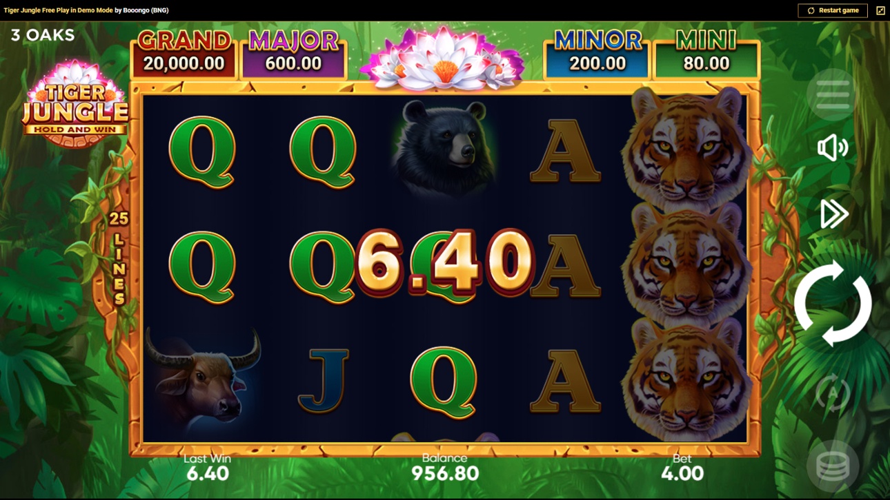 Tiger Jungle slot win