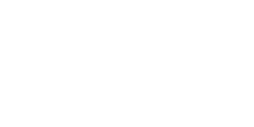 V-bet.su Casino Logo