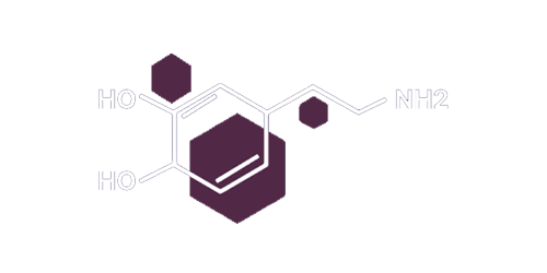 Dopamine Delivery Casino Logo
