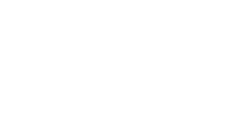 SlotMonkey Casino Logo