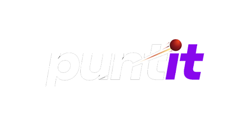 Puntit Casino Logo
