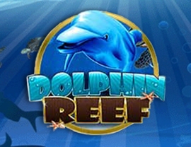 Dolphin reef