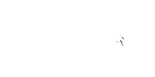 Amiriexch Casino Logo