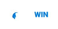 NURWIN Casino Logo