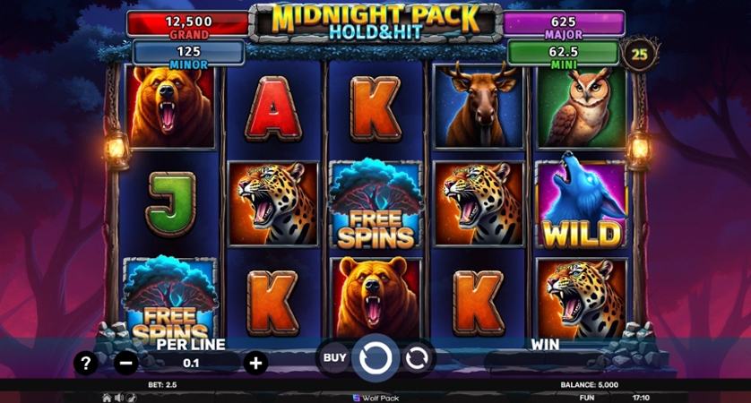 Midnight Pack - Hold & Hit.jpg