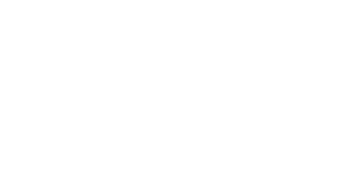 BetPukka Casino Logo