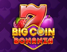 Big Coin Bonanza