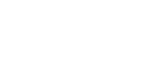 VIP Winners Club Casino Logo