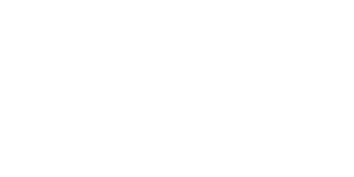 Wgo247 Casino Logo
