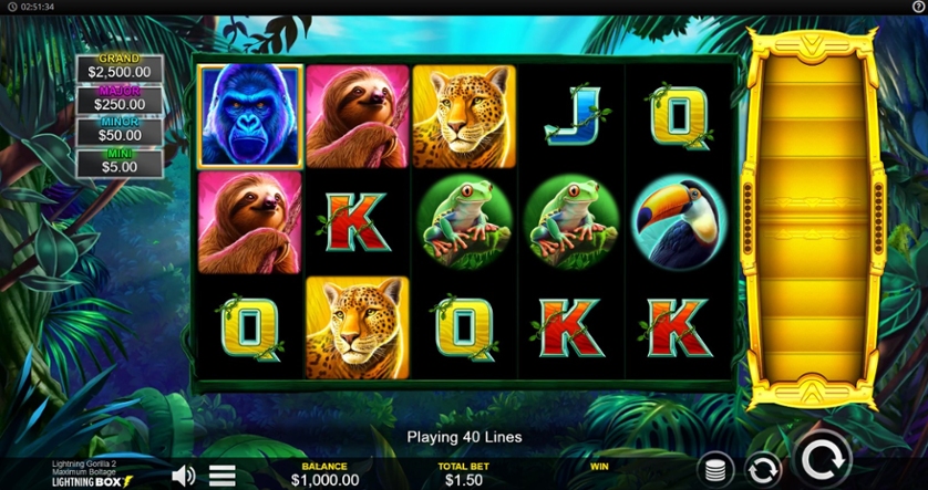 Lightning Gorilla 2.jpg