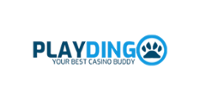 Playdingo Casino Logo
