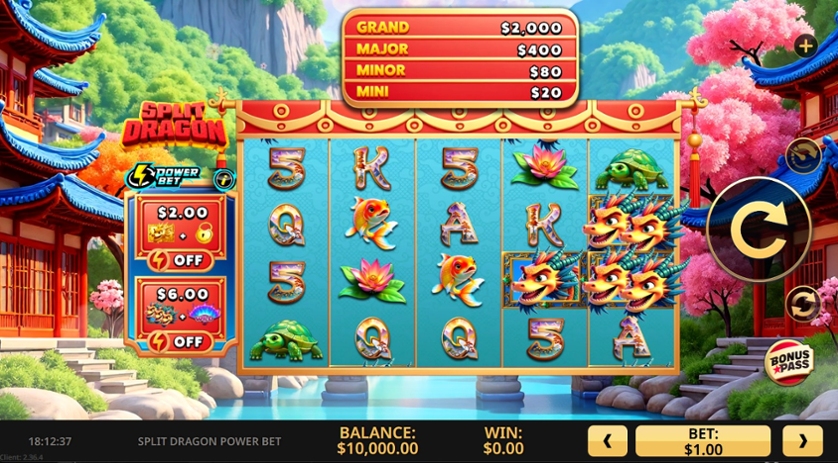 Split Dragon Power Bet.jpg