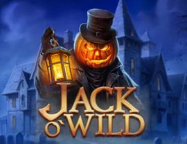 Jack O'Wild