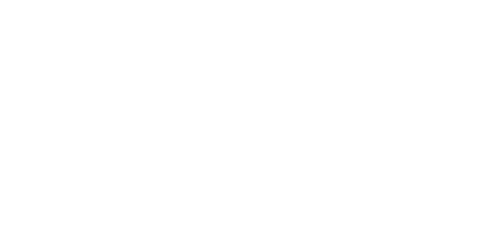 WinGuru Casino Logo