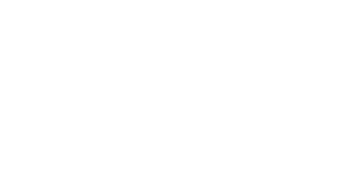 Pelipeto Casino Logo