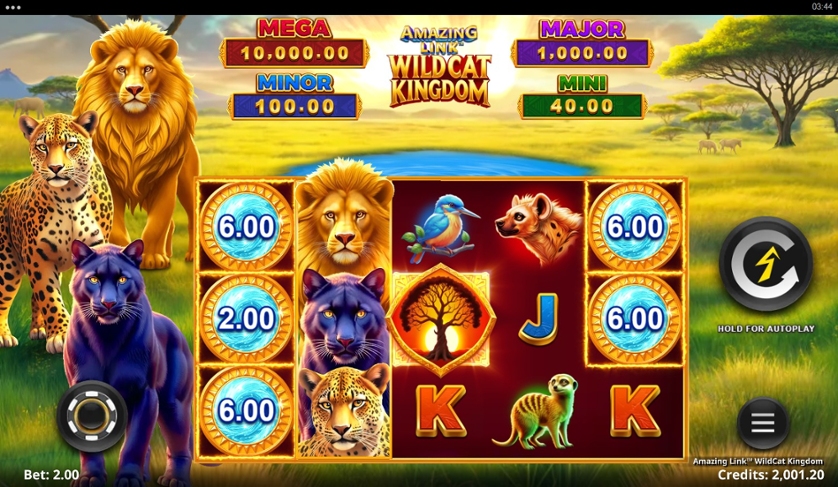 Amazing Link WildCat Kingdom.jpg