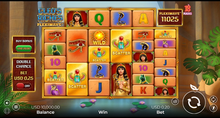 Cleo Riches FlexiWays.jpg