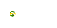 BR4BET Casino Logo