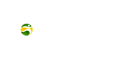 BR4BET Casino Logo