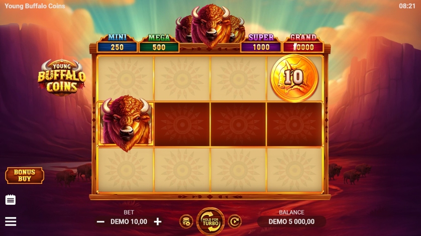 Young Buffalo Coins.jpg