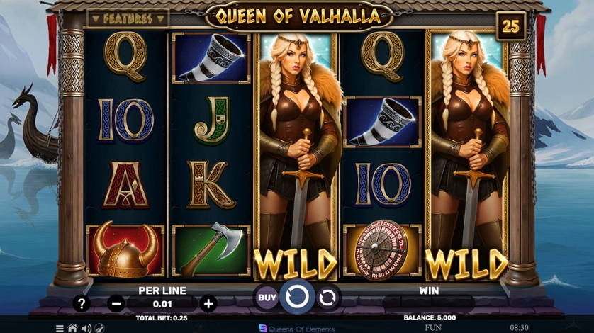 Queen of Valhalla.jpg