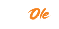 Betole Casino Logo