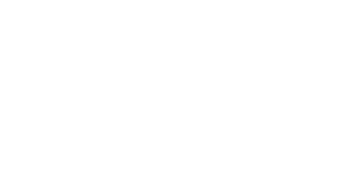 Feinbet Casino Logo