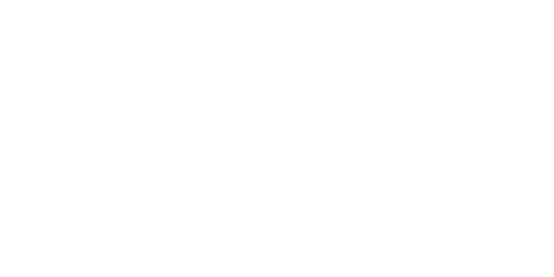 MapleBet Casino Logo