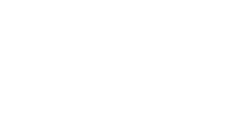 DemoBet Casino Logo