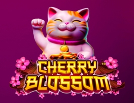 Cherry Blossom