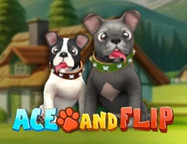 Ace and Flip