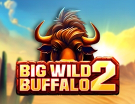Big Wild Buffalo 2