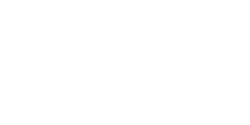 Bluff Casino Logo
