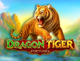 Dragon Tiger Fortunes