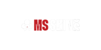 MsSpins Casino Logo