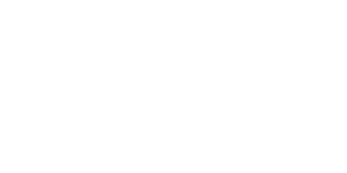STAKEBOSS Casino Logo