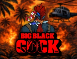 Big Black Cock