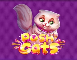 Posh Cats