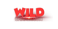 WildSpinner Casino Logo