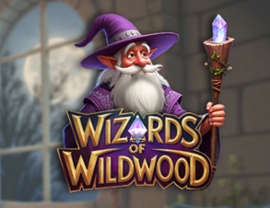 Wizards of Wild Wood