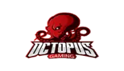 Octopus Gaming