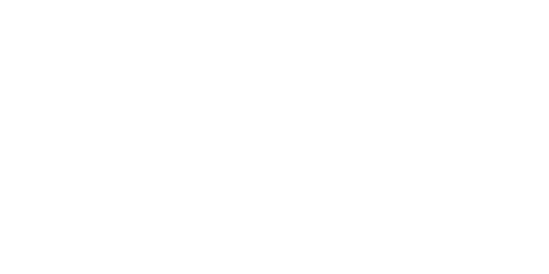 PariPesa Casino Logo