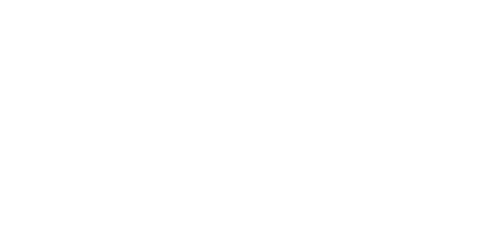 Slotroyals Casino Logo