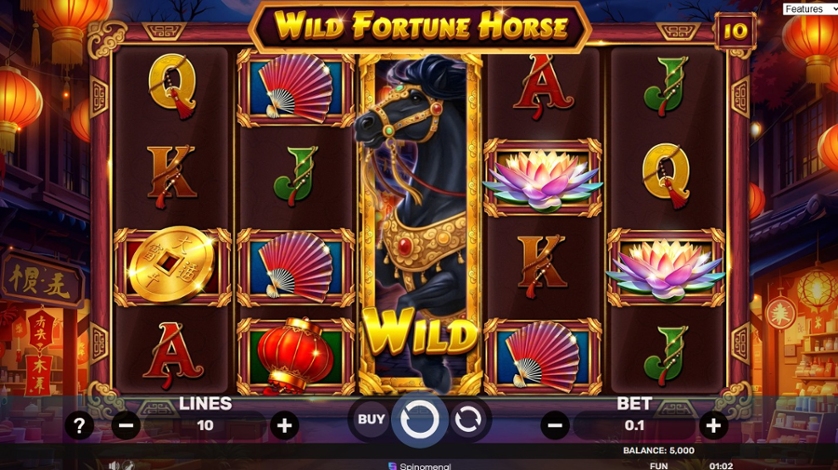 Wild Fortune Horse.jpg