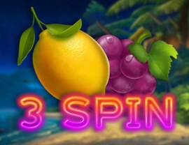 3 Spin