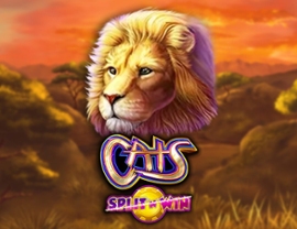 Cats Split 'n' Win